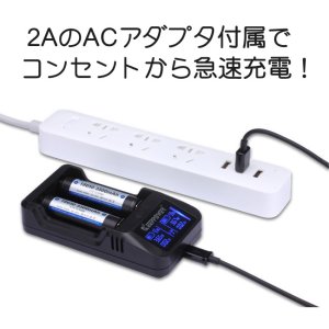 画像2: KEEP POWER - L2 Charger（2A・ACアダプタ付き）【リチウム充電池用バッテリーチャージャー】