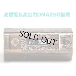 画像5: WISMEC - Reuleaux DNA250【中〜上級者向け・電子タバコ/VAPE】