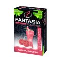 FANTASIA - グアバ ブリーズ 50g（ニコチンなし シーシャ用ハーブフレーバー）