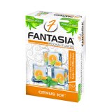 FANTASIA - シトラスアイス 50g（ニコチンなし シーシャ用ハーブフレーバー）