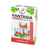 FANTASIA - マンゴーアイス 50g（ニコチンなし シーシャ用ハーブフレーバー）