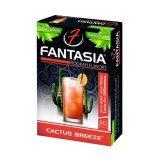 FANTASIA - カクタスブリーズ 50g（ニコチンなし シーシャ用ハーブフレーバー）