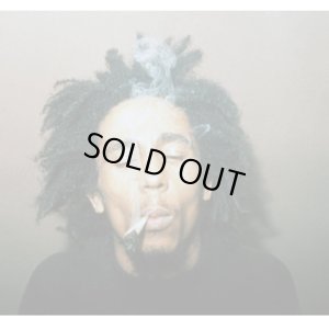 画像13: MARLEY NATURAL - Smoked Glass Water Pipe マーリーナチュラル アイスボング