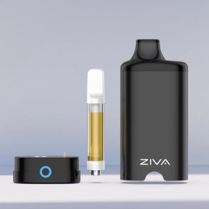 画像3: 510を隠せる Yocan - ZIVA ヨーキャン ジーバ  (510規格 / CBD系カートリッジ バッテリー ヴェポライザー / Type-C充電)