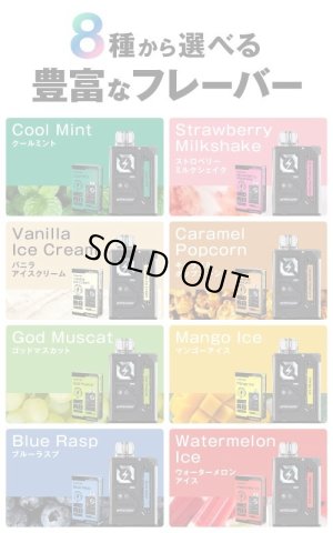 画像3: Vapengin ベイプエンジン 使い捨てVAPE・電子シーシャ