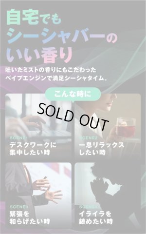 画像6: Vapengin ベイプエンジン 使い捨てVAPE・電子シーシャ