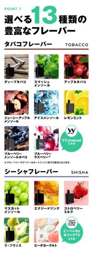 画像12: TARLESS NEXT ターレスネクスト スターターキット（タバコカプセル使用可能）