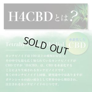 画像5: （すぐに使えるセット）Aztec - H4CRD  リキッド カートリッジ 0.5ml ヴェポライザーセット（H4CRD48% + CBD15% + CBN10% 配合）