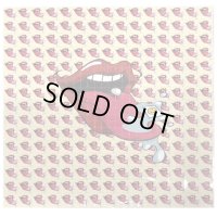 ブロッター アート 19cm × 19cm （6mm ／ 900片）