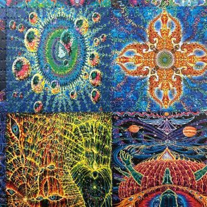 画像3: ブロッター アート 19cm × 19cm （6mm ／ 900片）