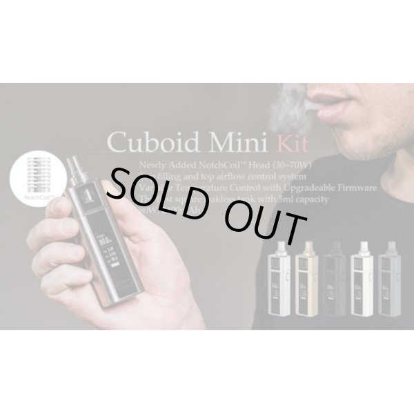 画像2: Joyetech - Cuboid Mini Kit（Ver 3.00）【温度管理機能付き・電子タバコ／VAPEスターターキット】 (2)