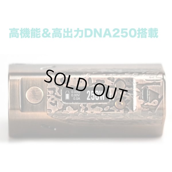 画像5: WISMEC - Reuleaux DNA250【中〜上級者向け・電子タバコ/VAPE】 (5)