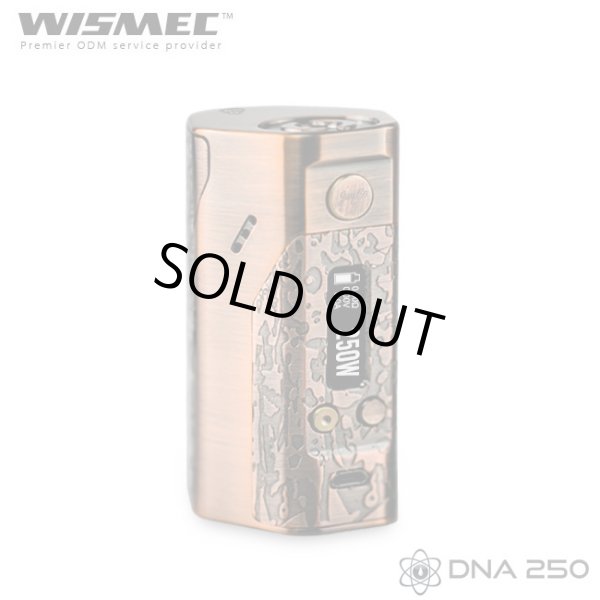 画像1: WISMEC - Reuleaux DNA250【中〜上級者向け・電子タバコ／VAPE】 (1)