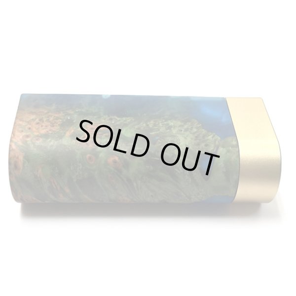 画像3: Woody Vapes  - Stabilized Wood SIII MOD(ゴールド × ブルー)【温度管理機能・アップデート機能付き・電子タバコ/VAPE】 (3)