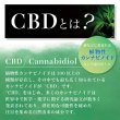 画像11: Aztec アステカ -  使い捨て CBD シーシャ （CBD 含有率 25%） (11)