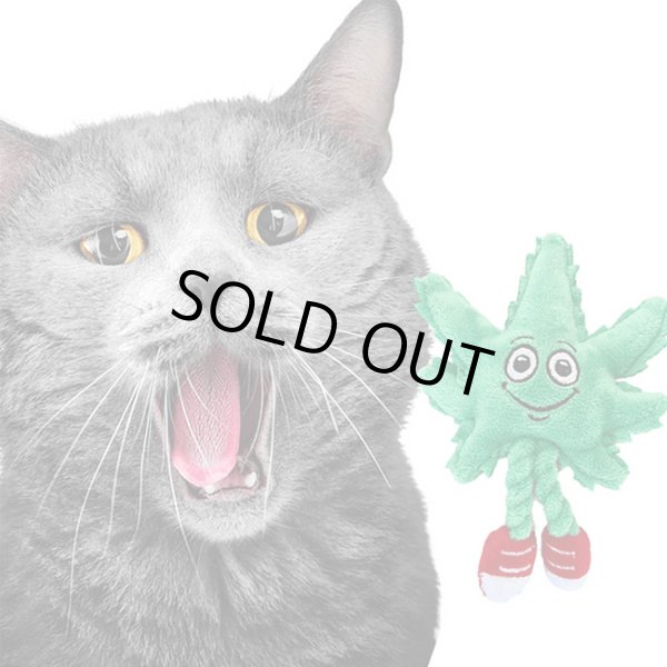 画像3: PAW:20 - Lil' MJ Cat Toy ぬいぐるみ (3)