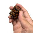 画像5: 4 Layer Grinder  グラインダー ／ クラッシャー （レオパード）φ38mm (5)