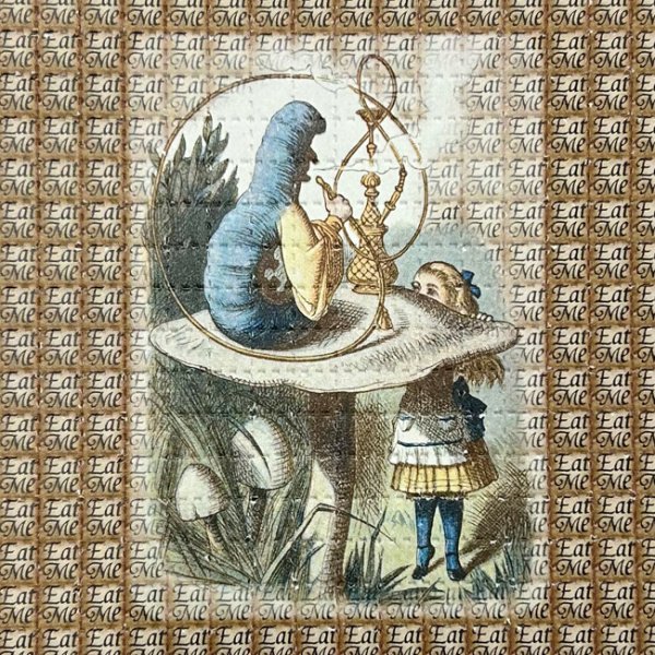 画像2: ブロッター アート 19cm × 19cm （6mm ／ 900片） (2)