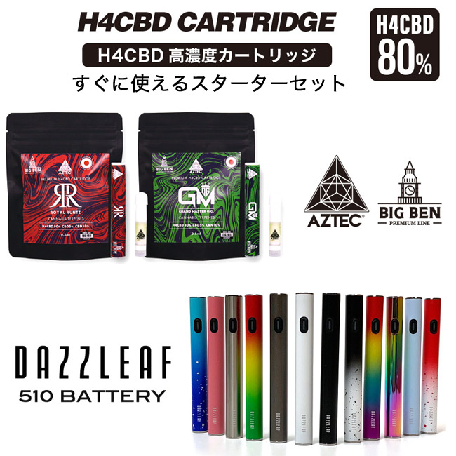 H4CBD80% + CBD5% + CBN10%配合】Aztec - H4CBD リキッド カートリッジ 